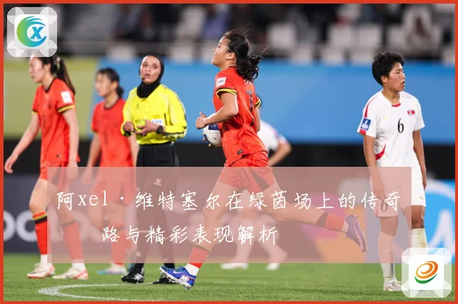 阿xel·维特塞尔在绿茵场上的传奇之路与精彩表现解析