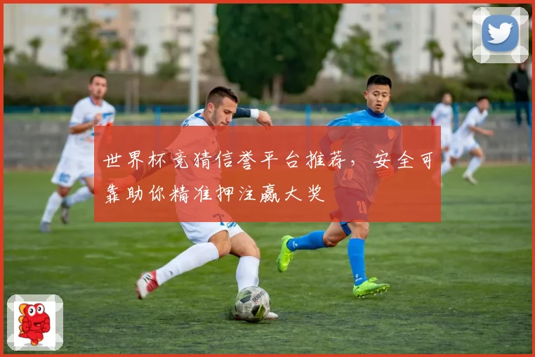 世界杯竞猜信誉平台推荐，安全可靠助你精准押注赢大奖