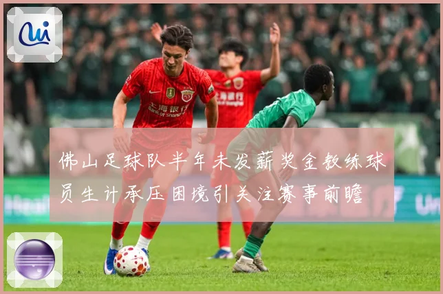 佛山足球队半年未发薪奖金教练球员生计承压困境引关注赛事前瞻