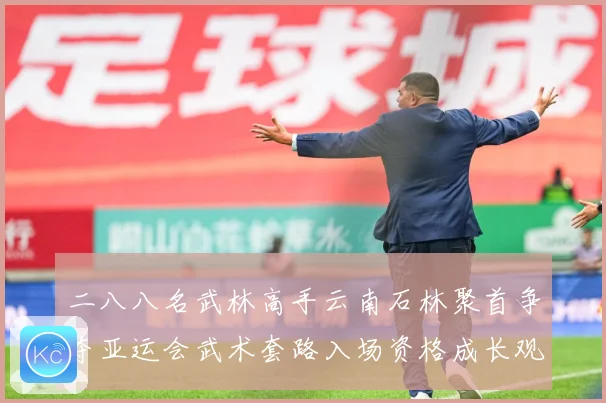 二八八名武林高手云南石林聚首争夺亚运会武术套路入场资格成长观察