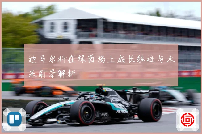 迪马尔科在绿茵场上成长轨迹与未来前景解析