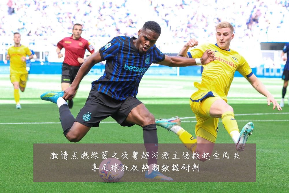 激情点燃绿茵之夜粤超河源主场掀起全民共享足球狂欢热潮数据研判