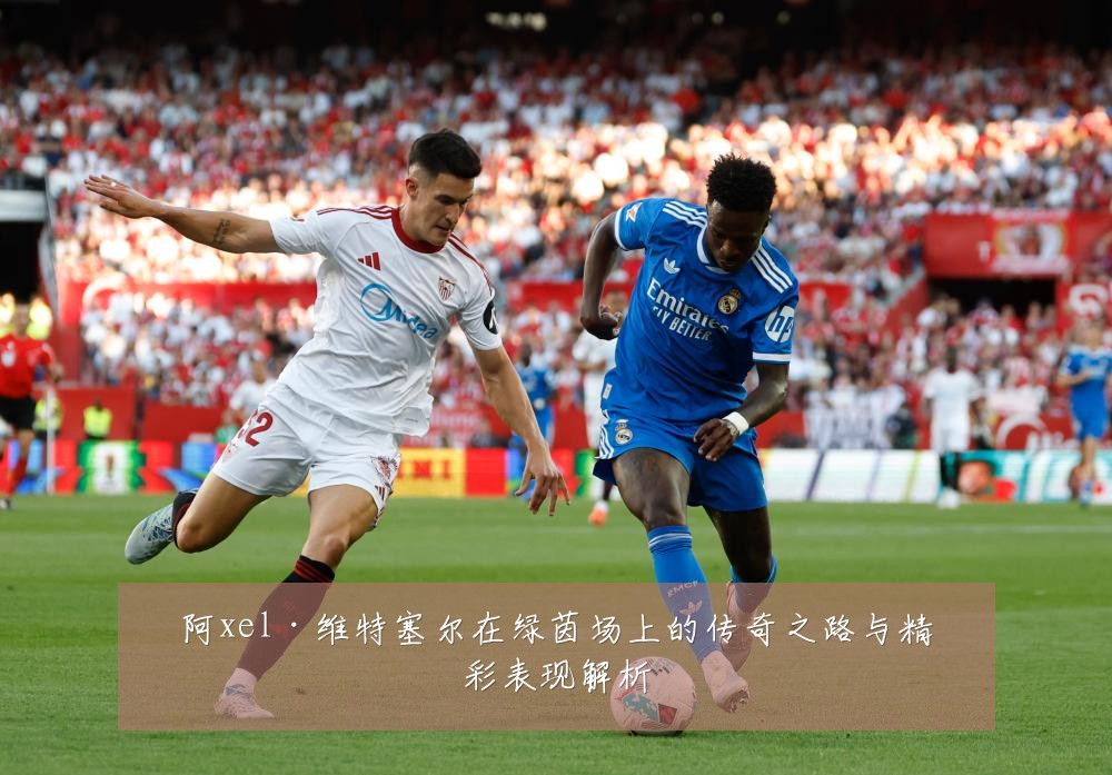 阿xel·维特塞尔在绿茵场上的传奇之路与精彩表现解析