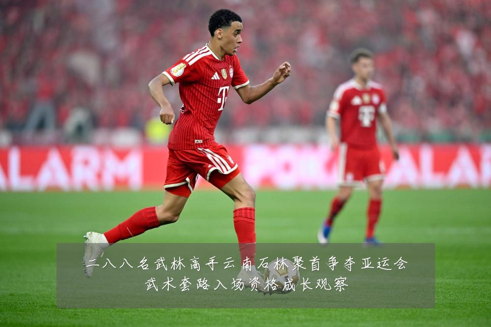 二八八名武林高手云南石林聚首争夺亚运会武术套路入场资格成长观察