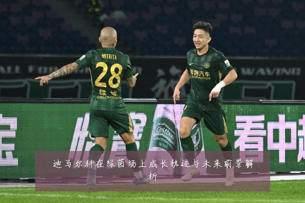迪马尔科在绿茵场上成长轨迹与未来前景解析